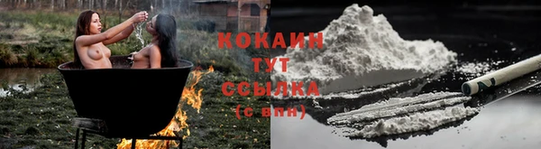 мяу мяу мука Вязьма