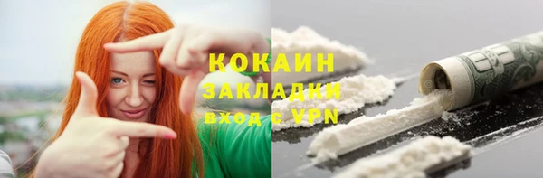 ECSTASY Дмитриев