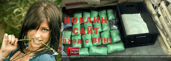 стаф Алексин