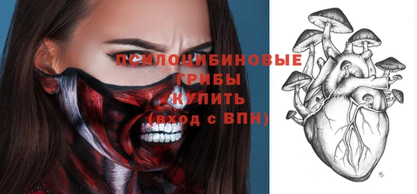 стаф Алексин