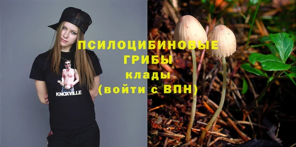 стаф Алексин