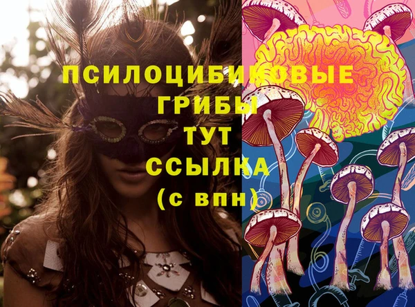 метадон Алексеевка