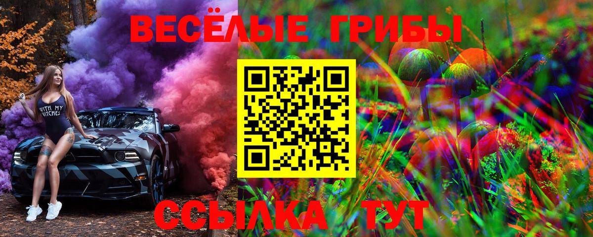 Галлюциногенные грибы Cubensis  Вход с VPN  Псилоцибиновые грибы мицелий  Обнинск 